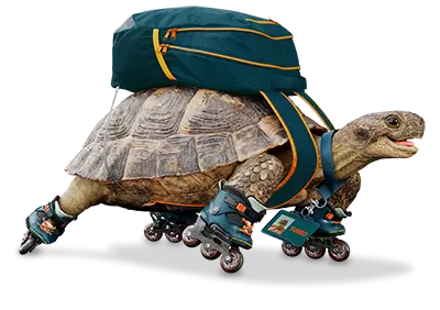 terry-turtole