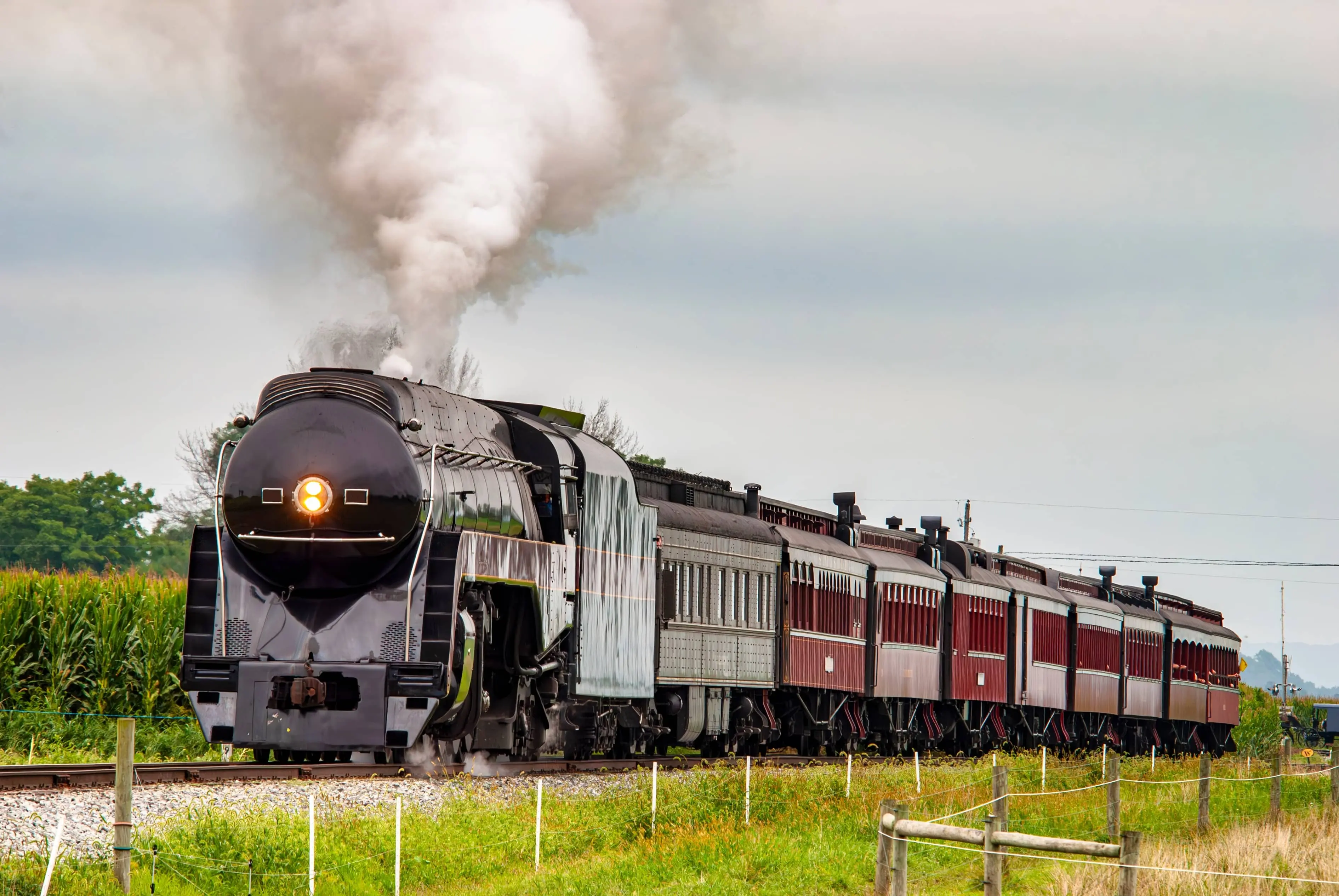 Steam Train: A modern steam locomotive in a rural backdrop