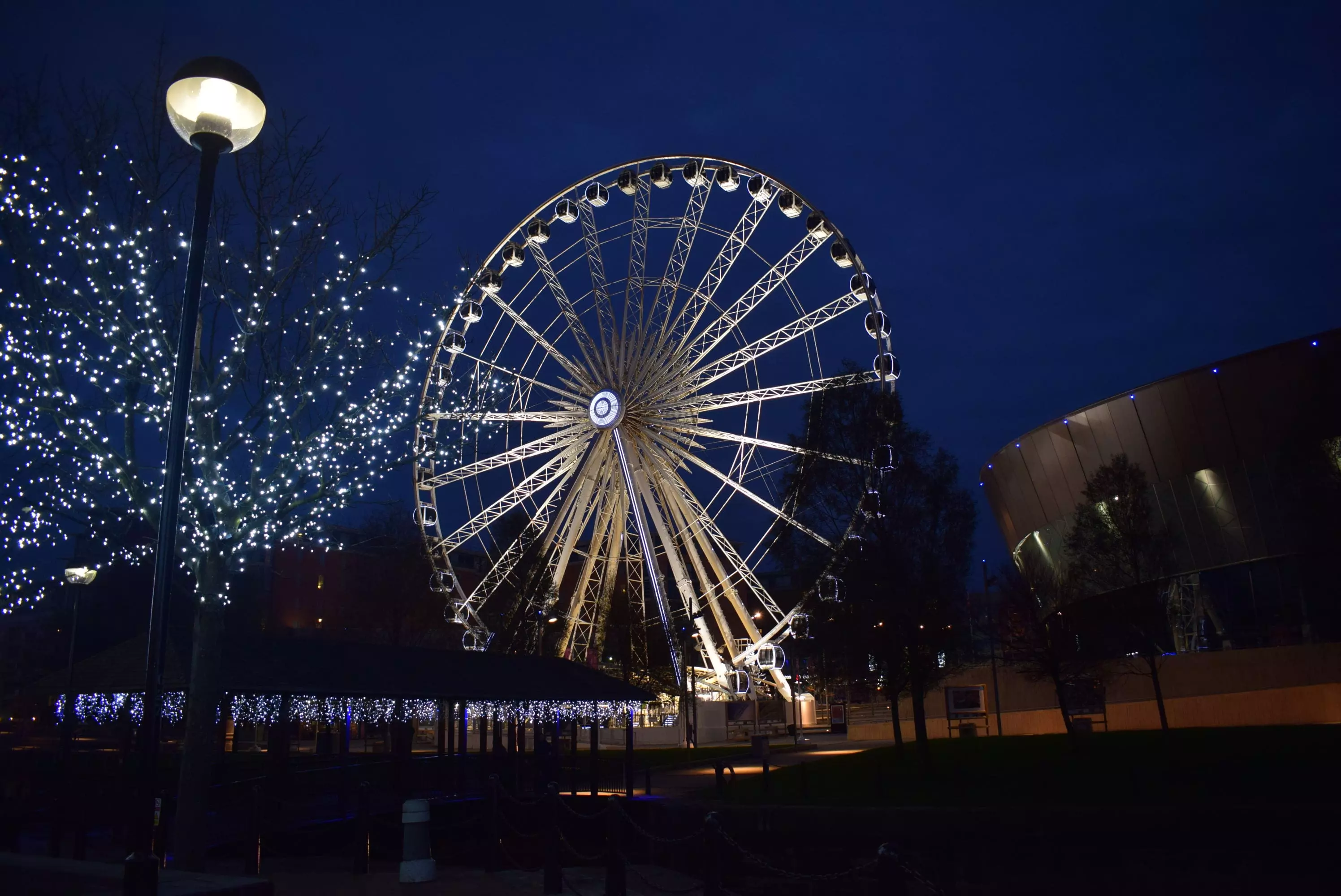 Liverpool Christmas tree