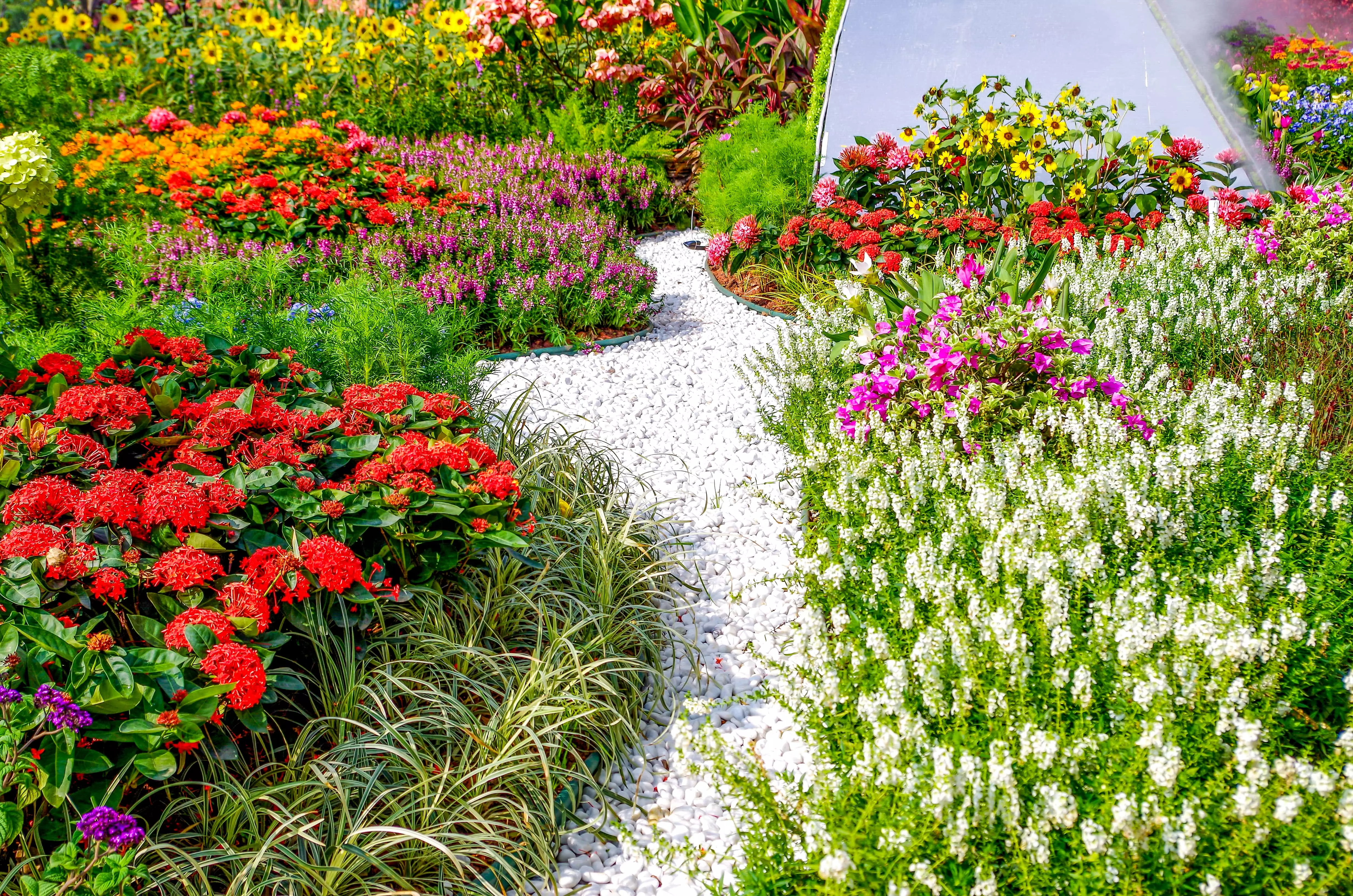 A flower display with a path in the middle