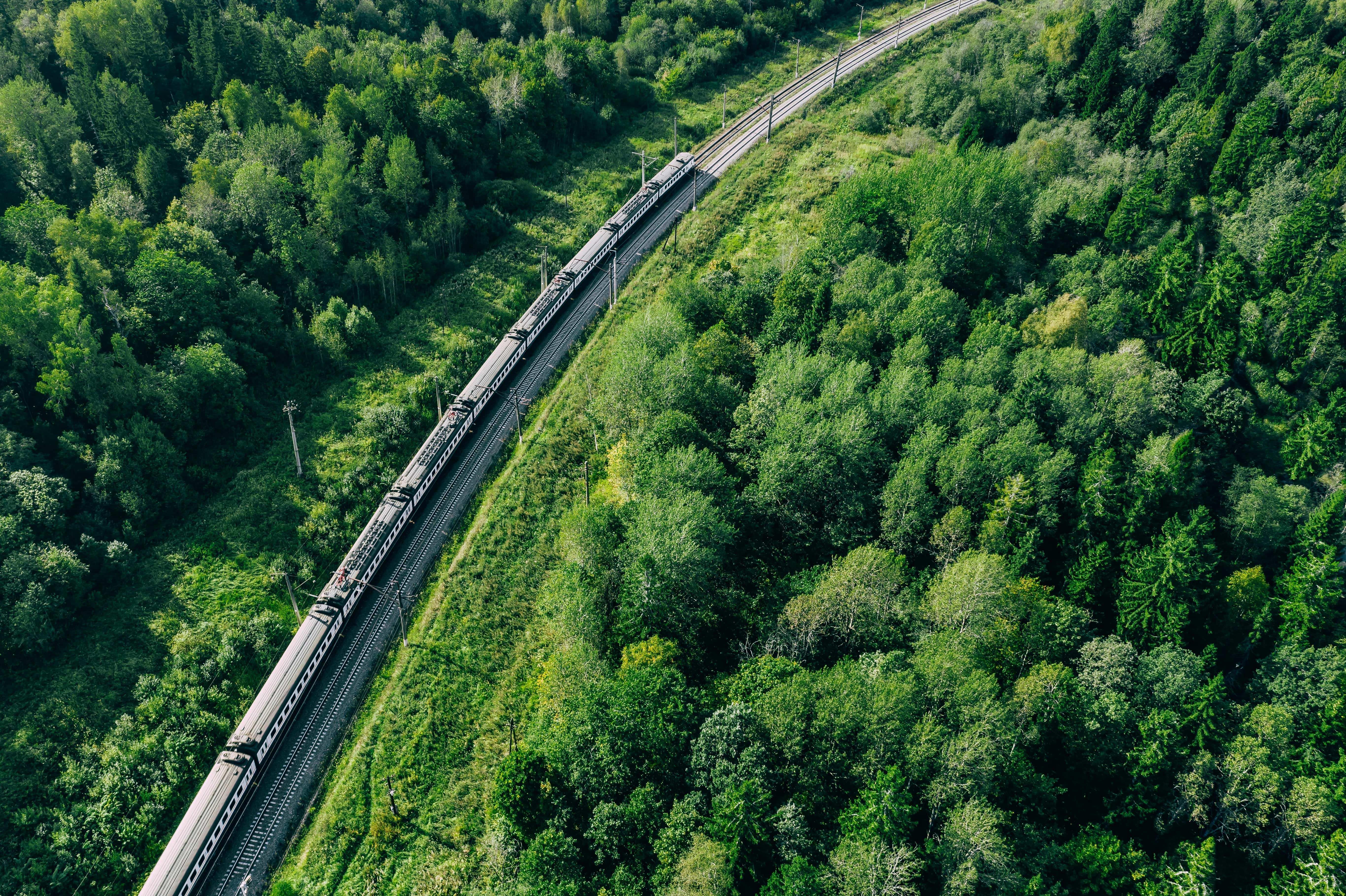 Model Trains: An aerial view of a train passing through an area of greenery