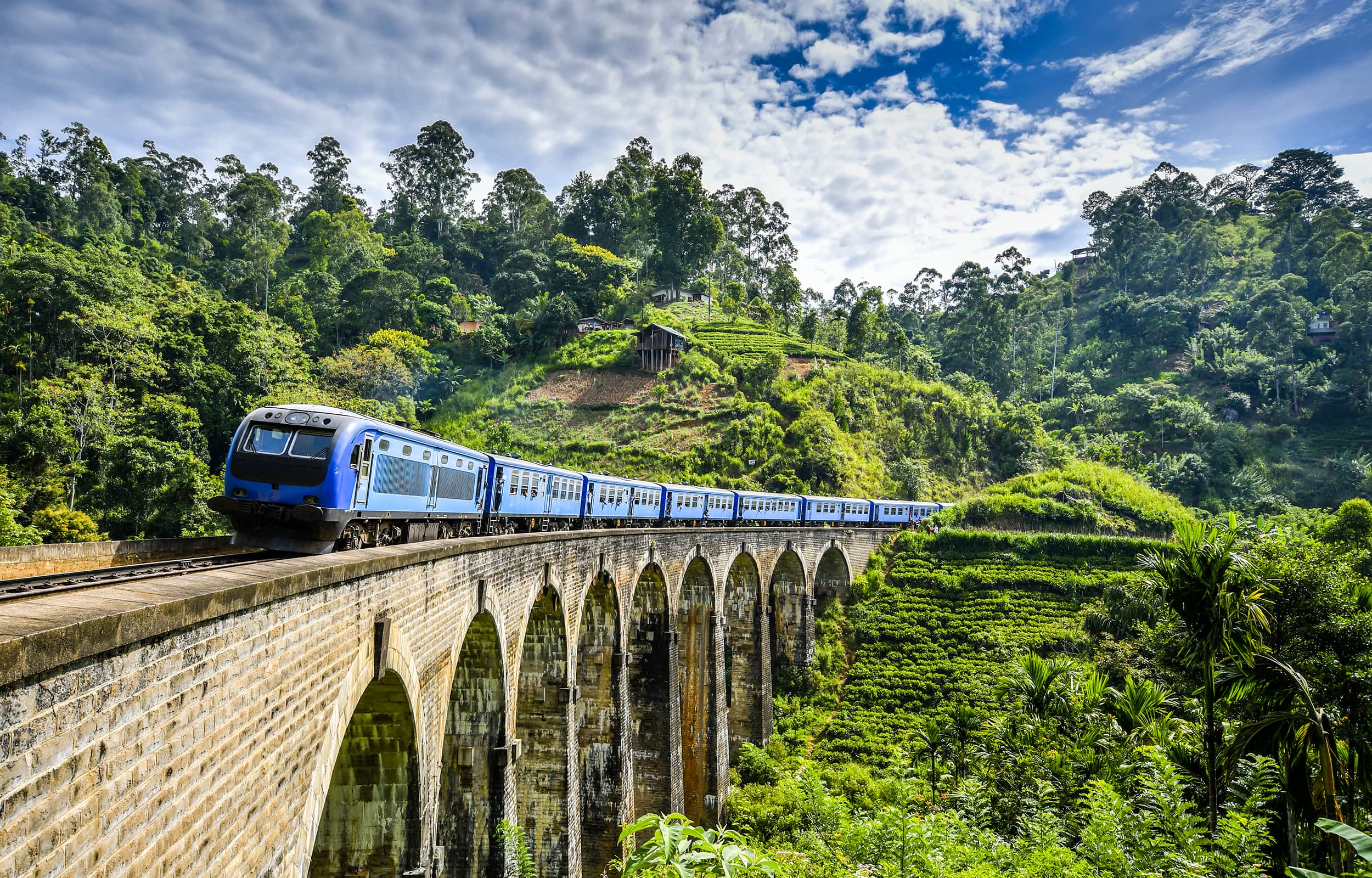 A blue passenger train crossed an aqueduct throughout a natural landscape.