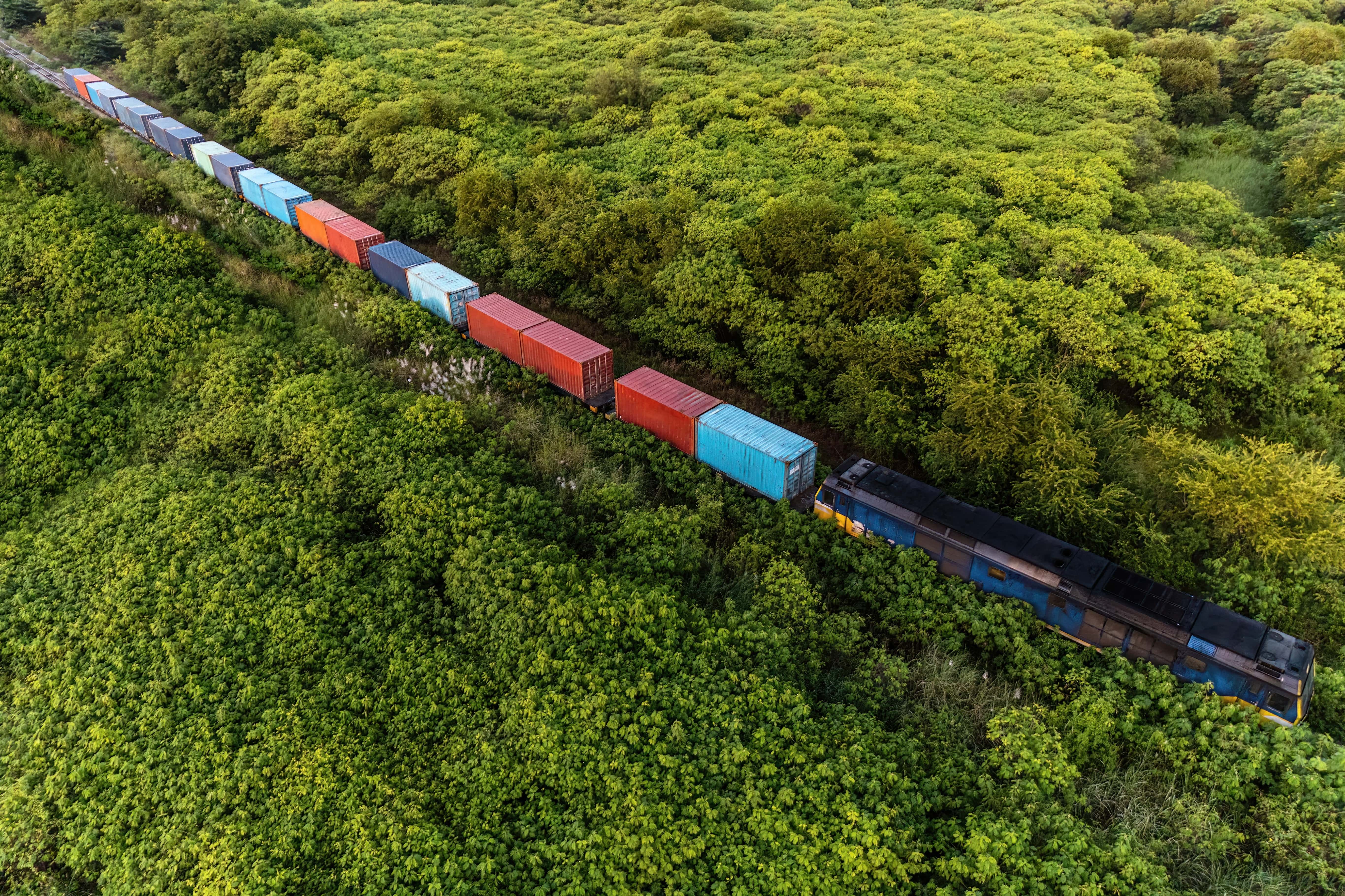 An aerial view of a freight train passing through a forest.